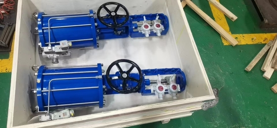 Lineaire pneumatische aandrijving actuator automatiseren van de meeste soorten van stijgende stam klep