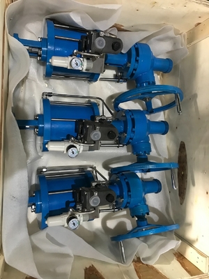 Lineaire pneumatische aandrijving actuator automatiseren van de meeste soorten van stijgende stam klep