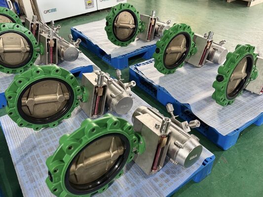 Dubbelflanged ANSI 150lb vlinder klep vakkundig ontworpen met PTFE zit afstandsbediening transmissie systeem